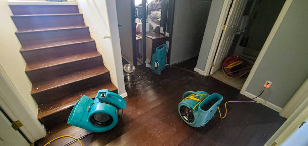 Best Emergency water damage restoration  in Many, LA