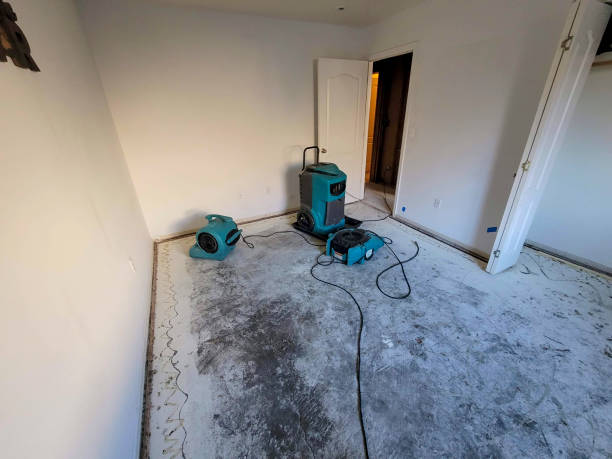 Best 24-hour water damage restoration  in Many, LA
