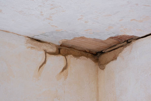 Best Water damage contractors near me  in Many, LA