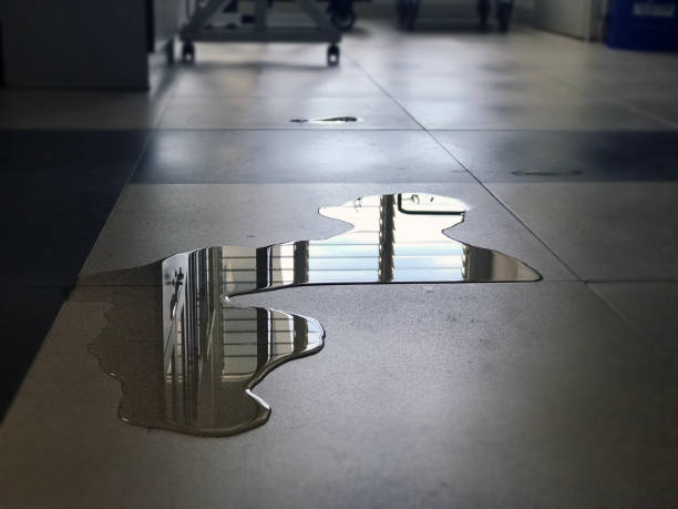 Best Water damage restoration near me  in Many, LA