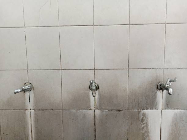 Best Residential water damage restoration  in Many, LA