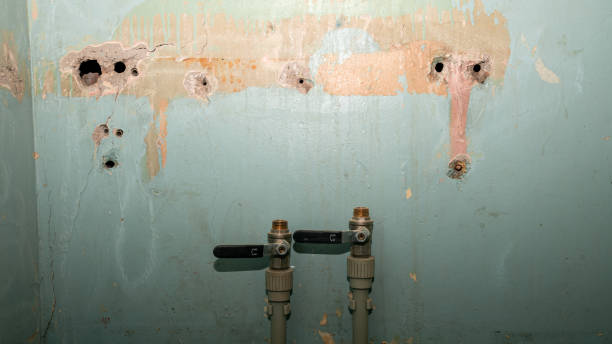 Best Professional water damage repair  in Many, LA