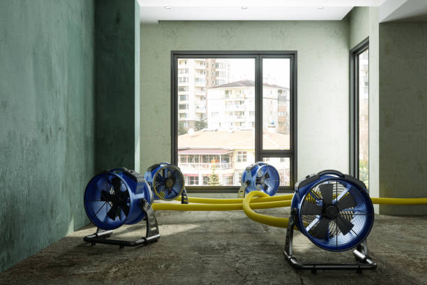 Best Sewage cleanup and water damage restoration  in Many, LA