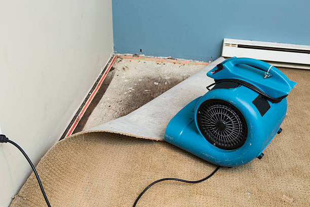 24/7 water damage repair in Many, LA
